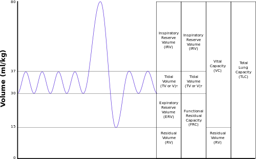 Obstructive Pulmonary Diseases